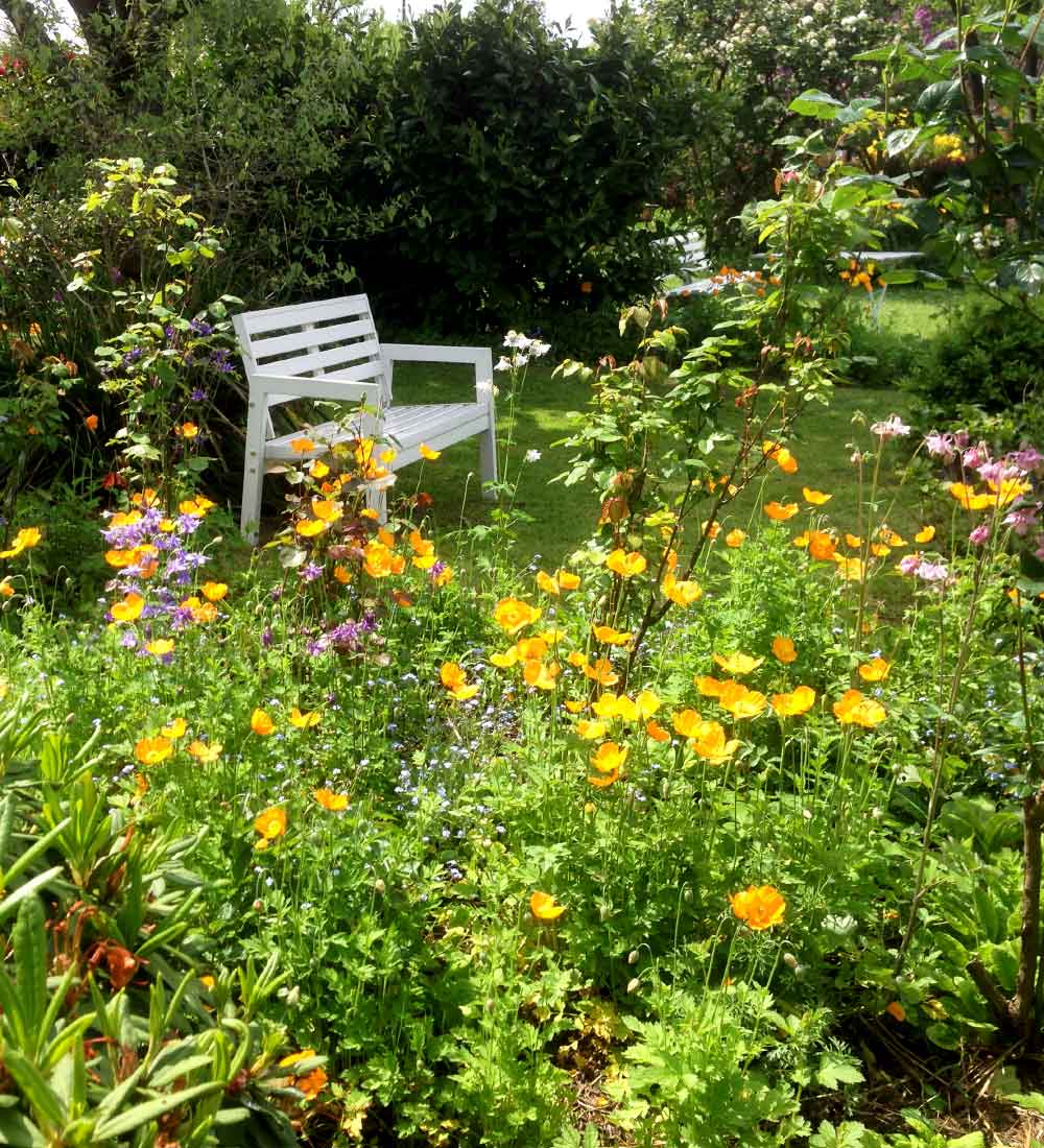 Meditation Gartenbank